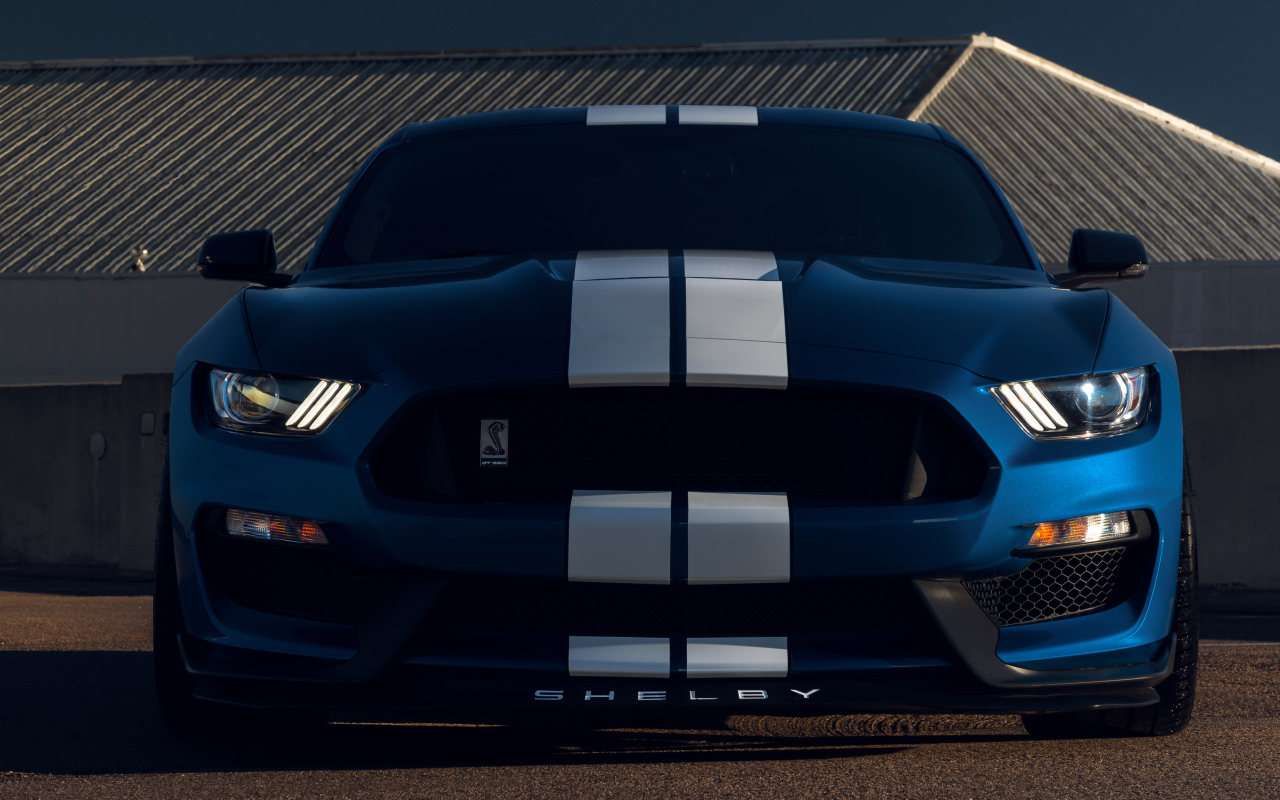 Автомобиль Ford Mustang Shelby GT350  вид спереди