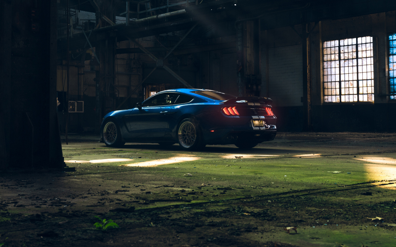 Автомобиль Ford Shelby GT350  вид сзади