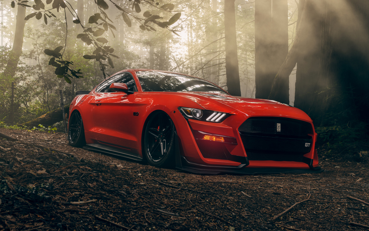 Красный автомобиль Ford Mustang GT в лесу