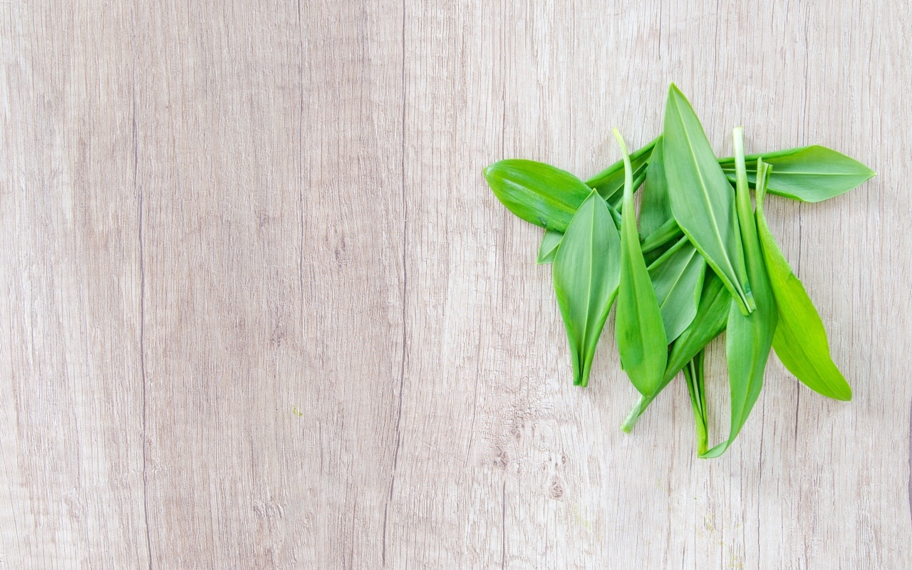 Пучок зеленых листьев на деревянной поверхности 