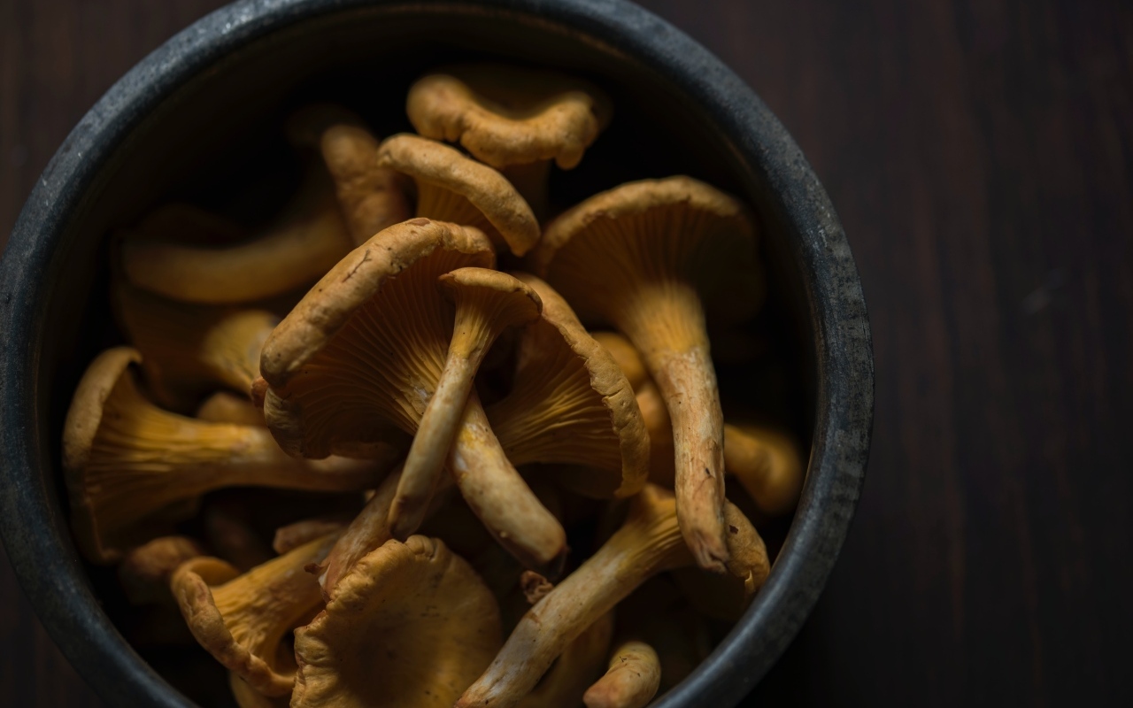 Грибы лисички в миске на столе