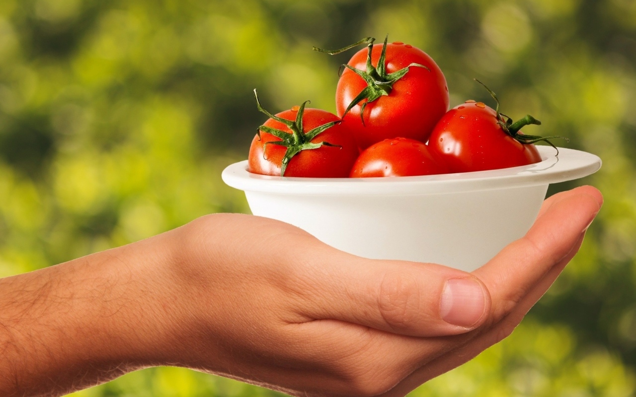 Спелые томаты в белой тарелке на руке