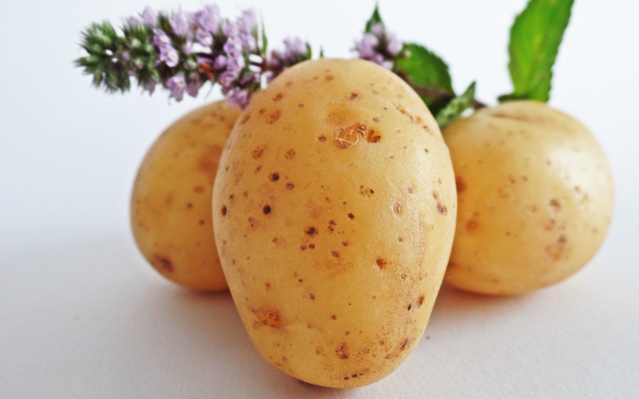 Молодой картофель с цветами мяты