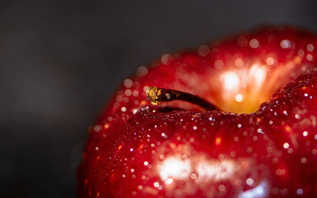 Большое мокрое красное яблоко на сером фоне