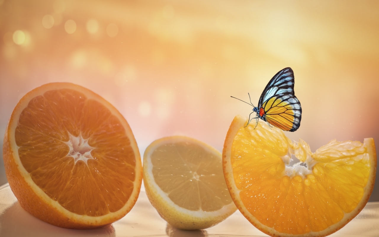 Большие оранжевые апельсины и лимон с бабочкой