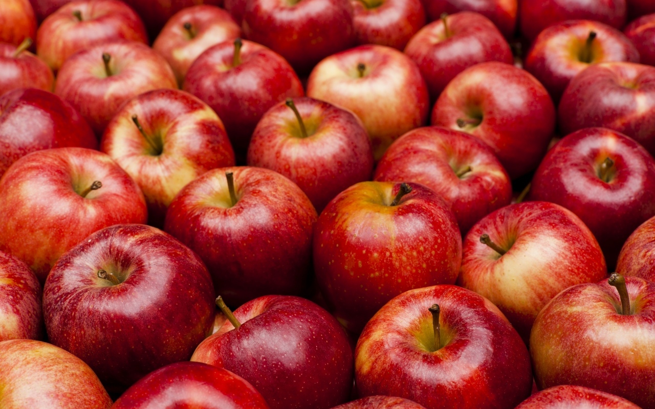 Много спелых красных яблок крупным планом