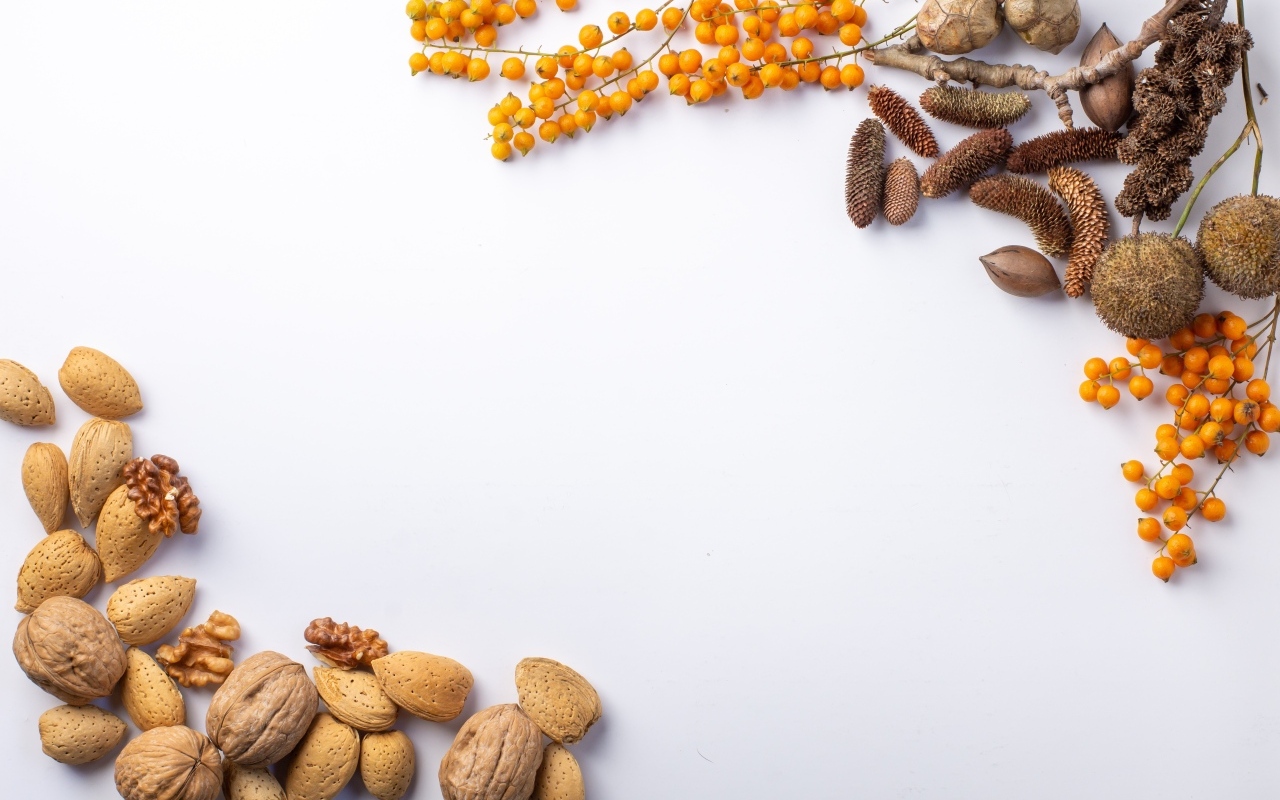 Орехи и ветки для фона