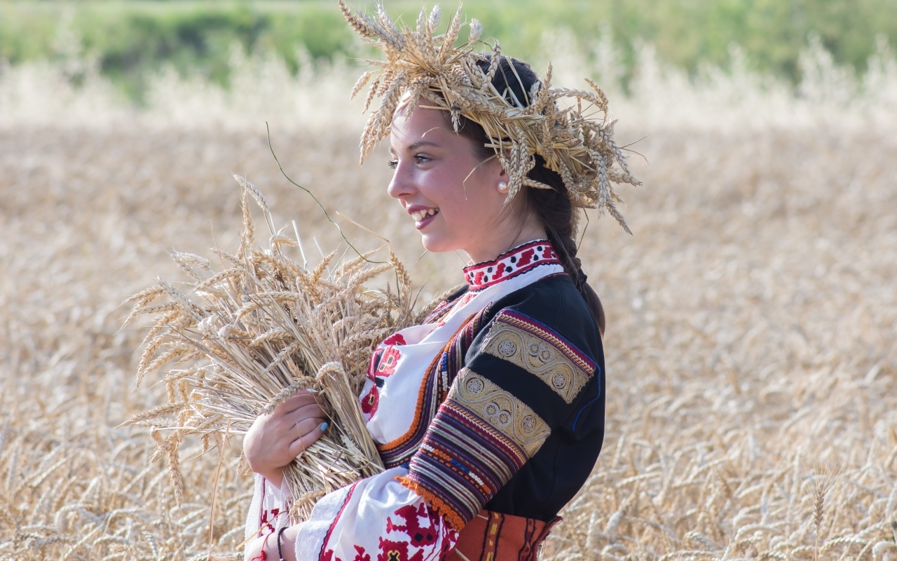 Красивая девушка на поле с пшеницей