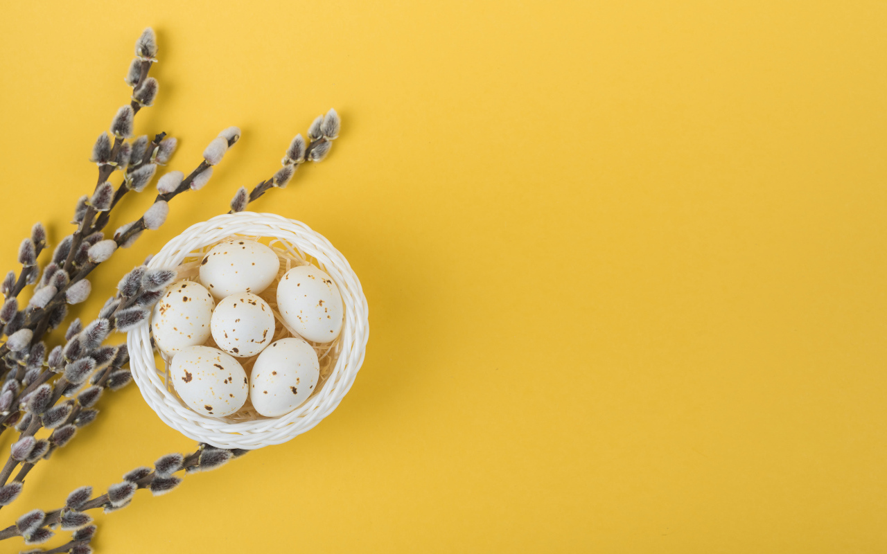 Ветки вербы и яйца на желтом фоне шаблон поздравительной открытки на Пасху