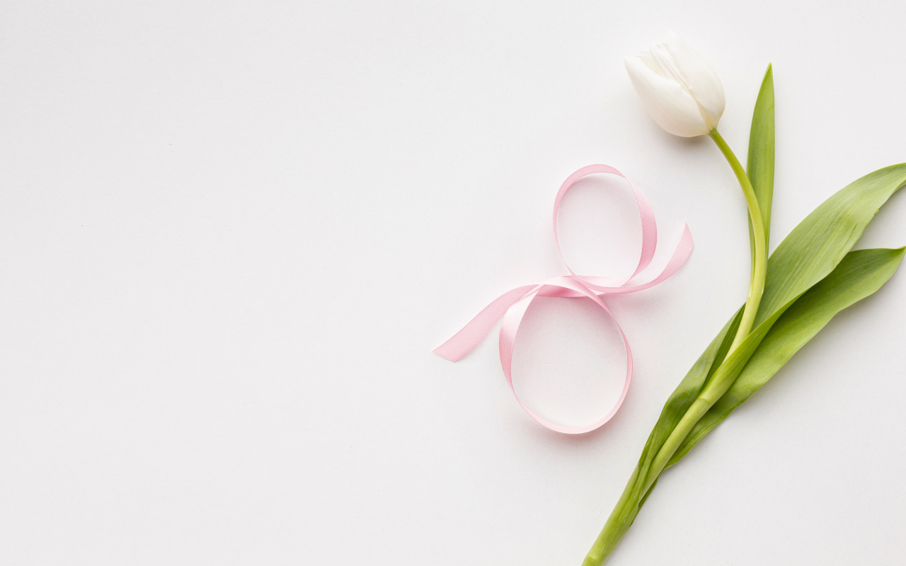 Тюльпан для любимой на 8 марта на розовом фоне