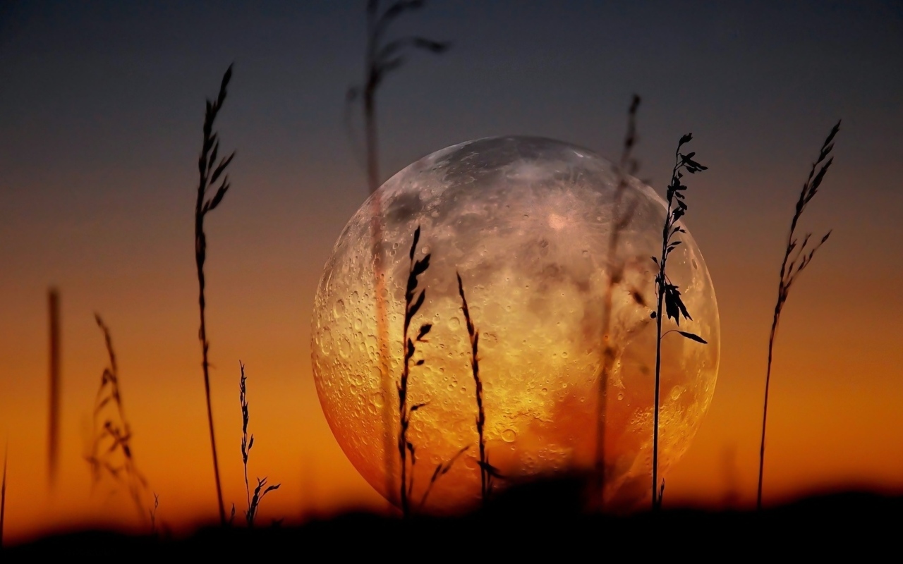 Большая холодная луна над полем