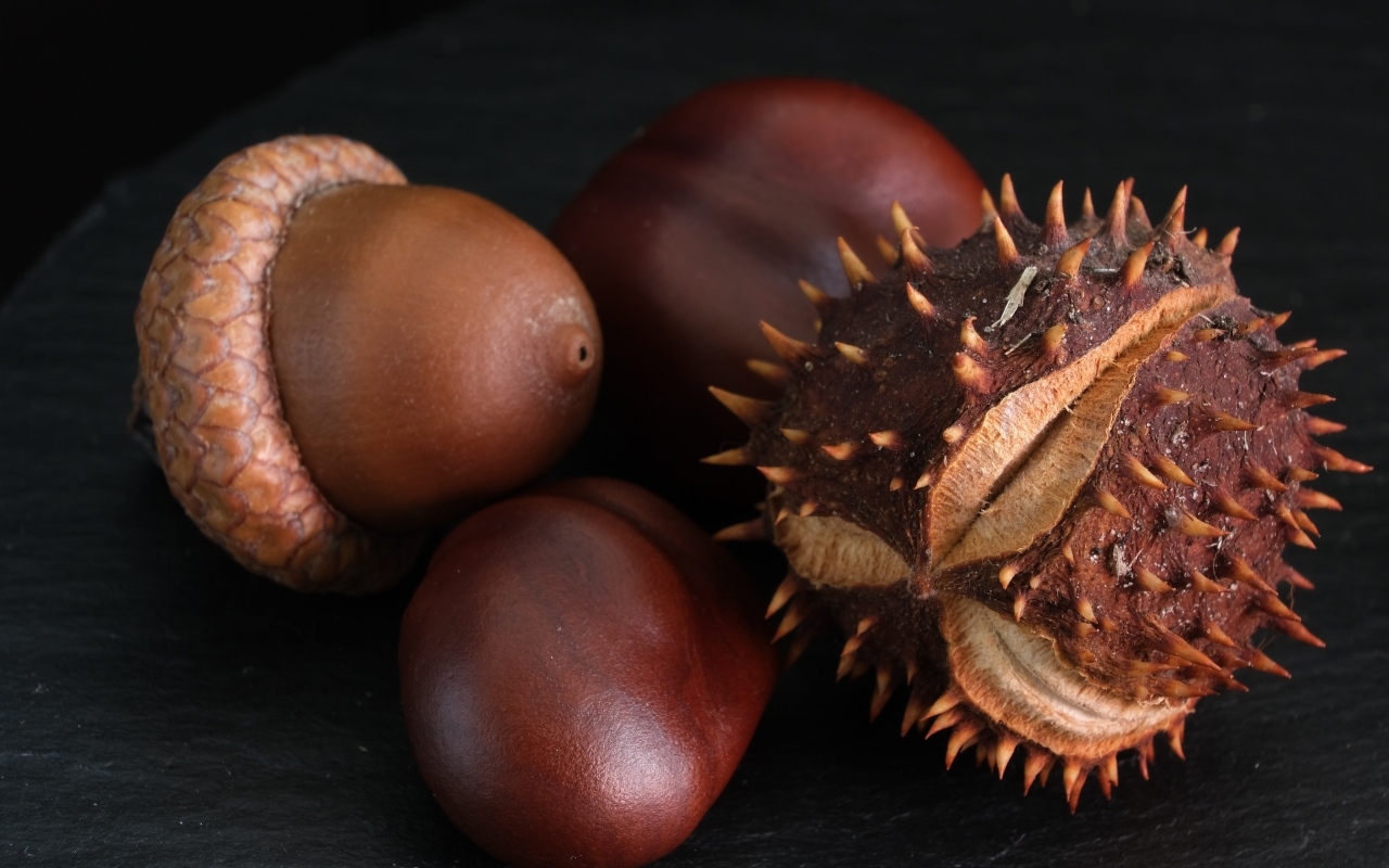 Сухие каштаны и желуди на черном фоне