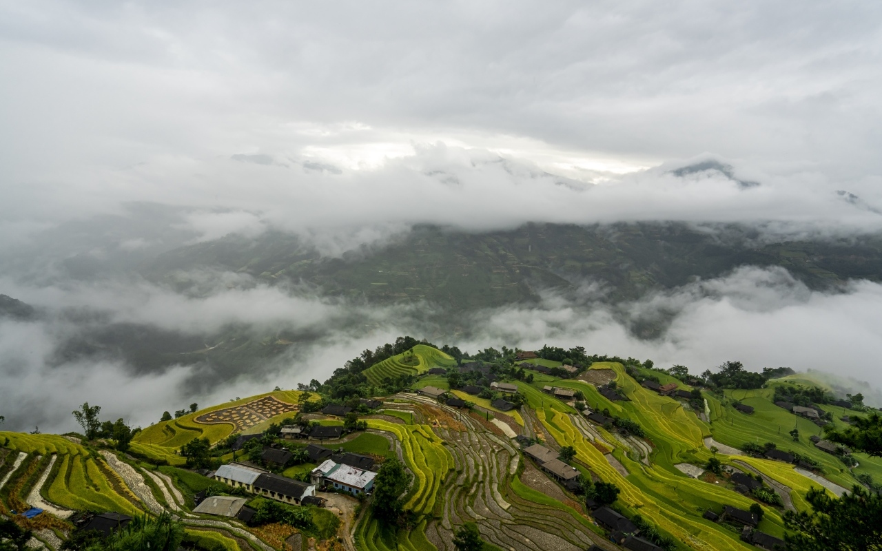 Вид сверху на плантации в тумане