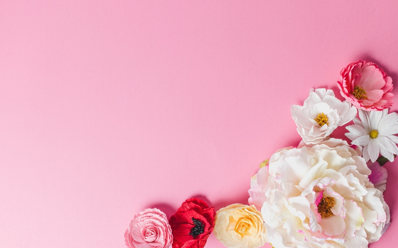 Нежные сорванные цветы на розовом фоне