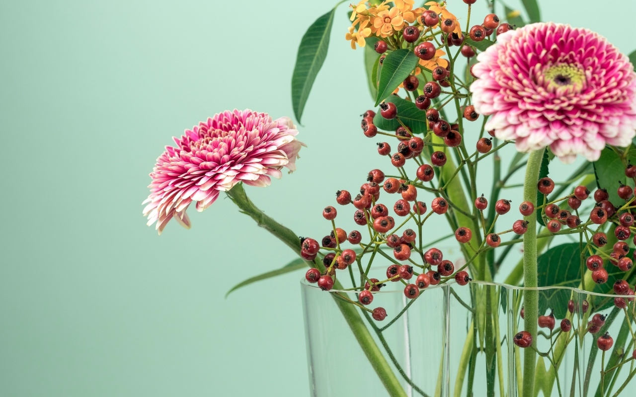 Розовые герберы с ветками на голубом фоне