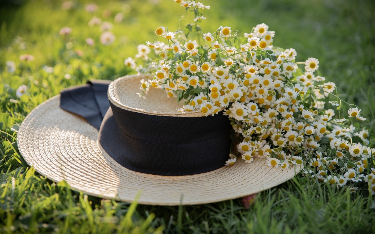 Соломенная шляпа на траве с цветами ромашки