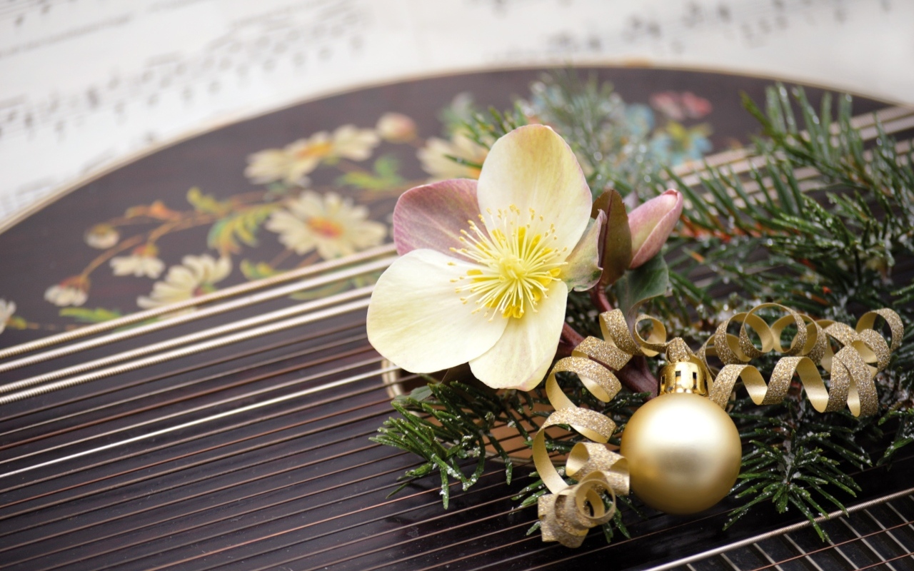 Цветок лежит на музыкальном инструменте