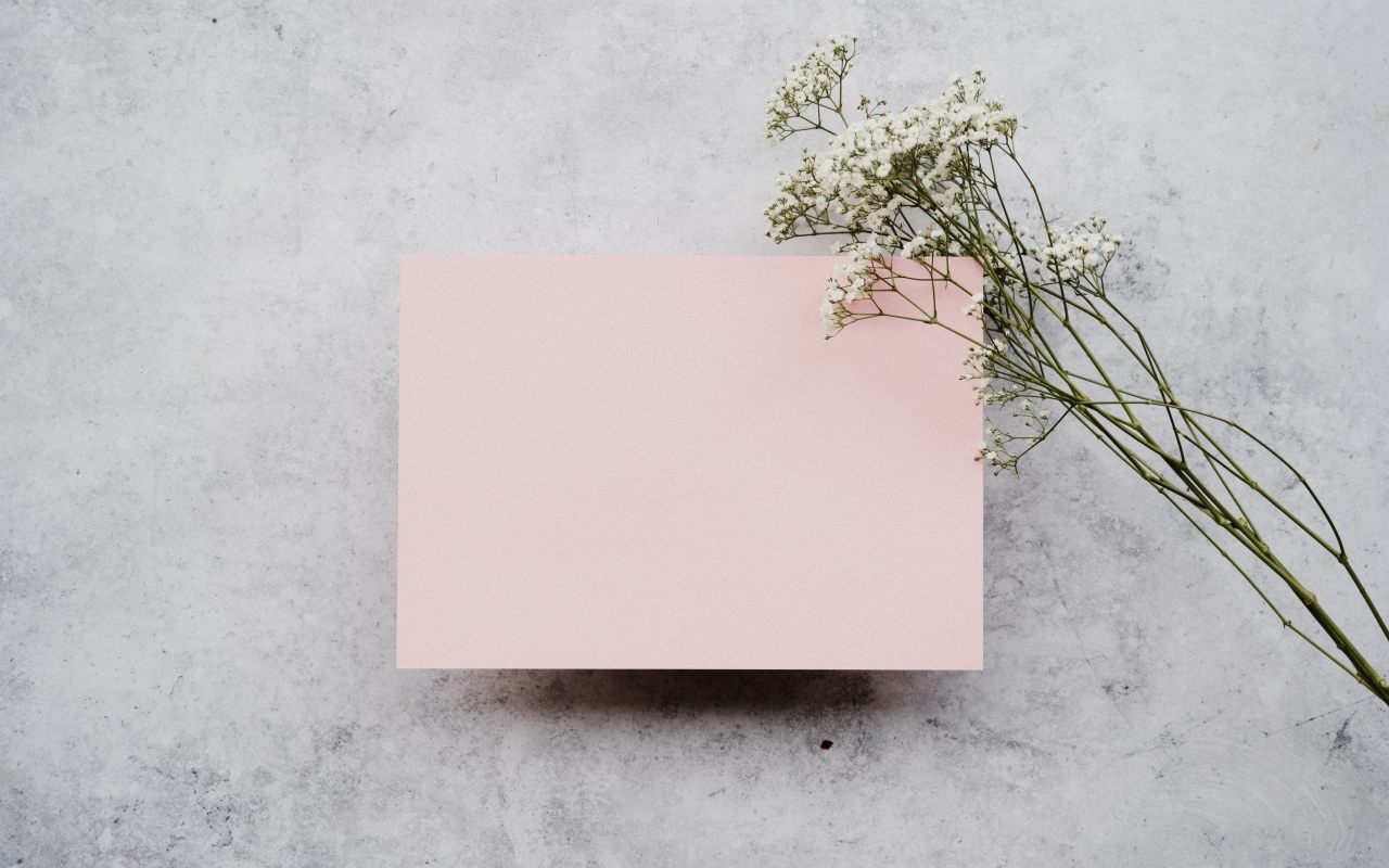 Белые цветы и лист розовой бумаги на сером фоне