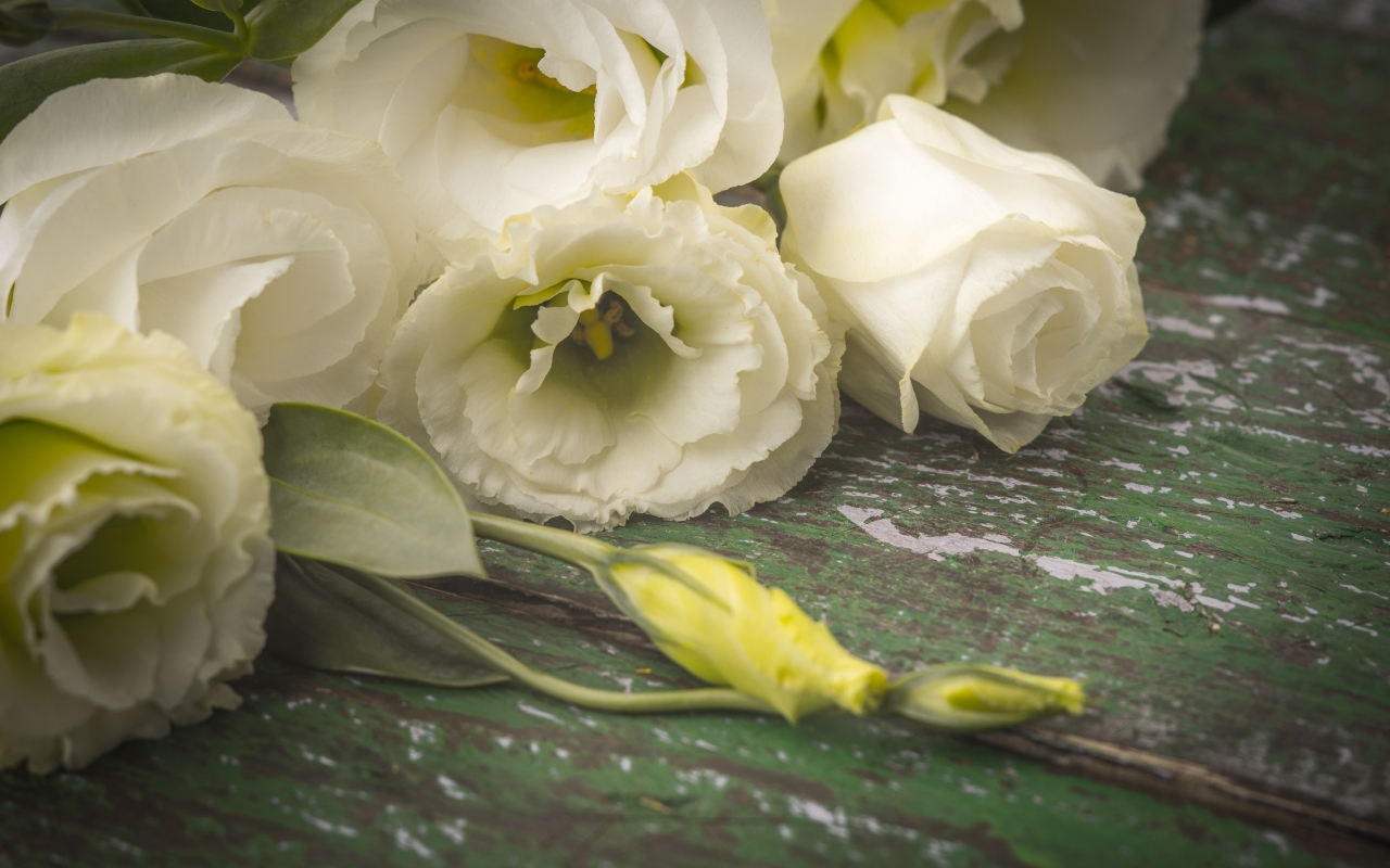 Белые розы и цветы эустомы на столе