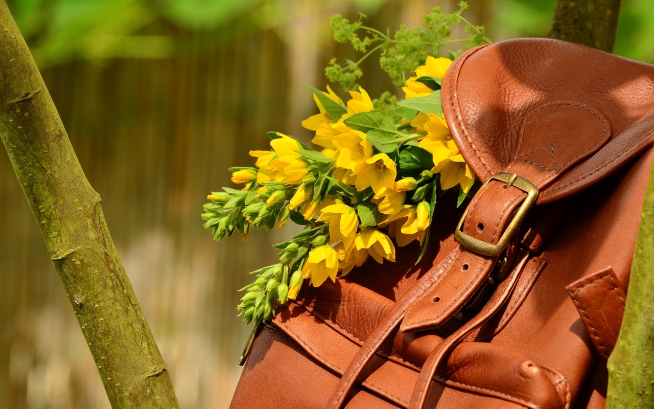 Желтые цветы лежат в кожаном рюкзаке 