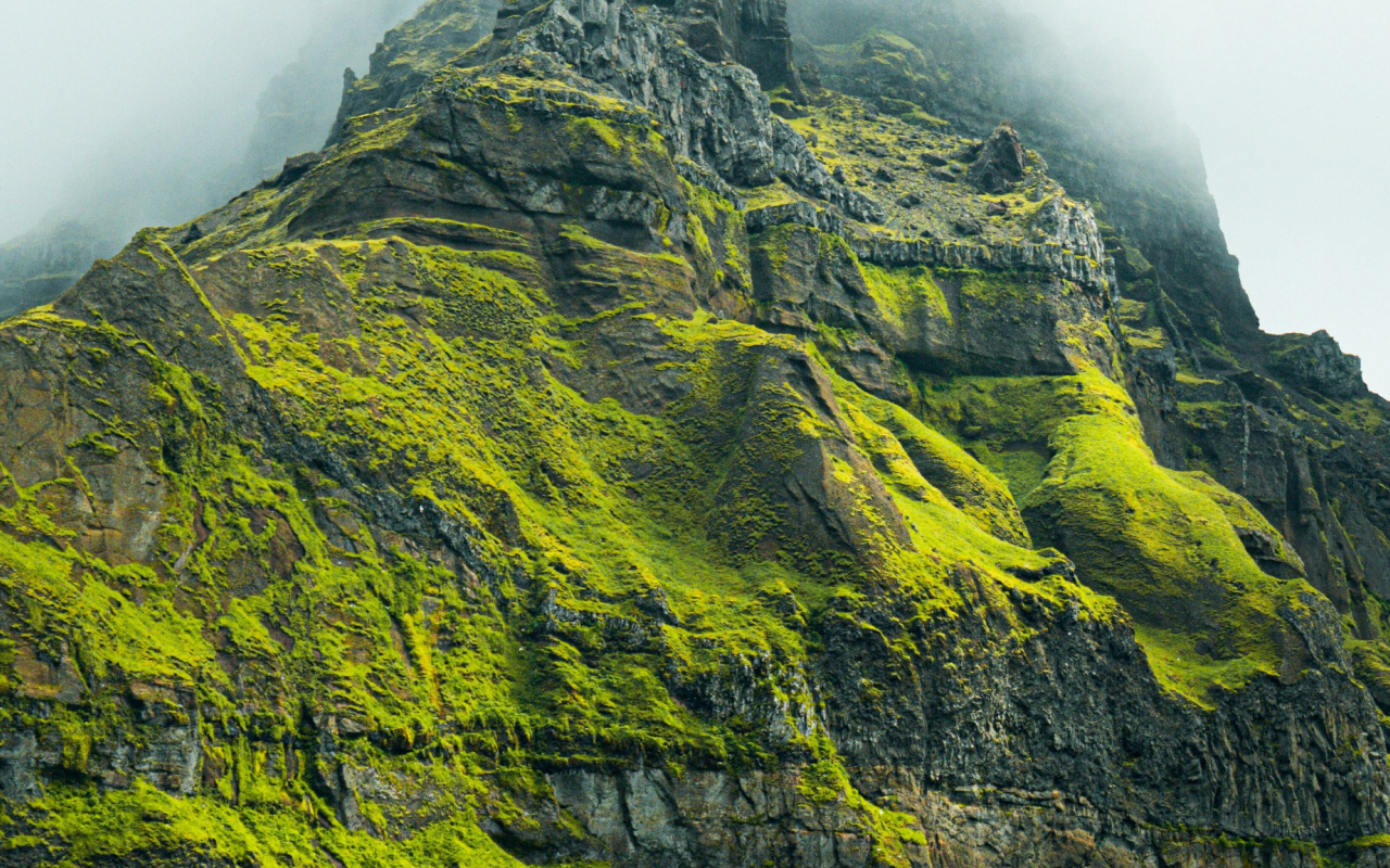 Высокая гора покрыта зеленой растительностью