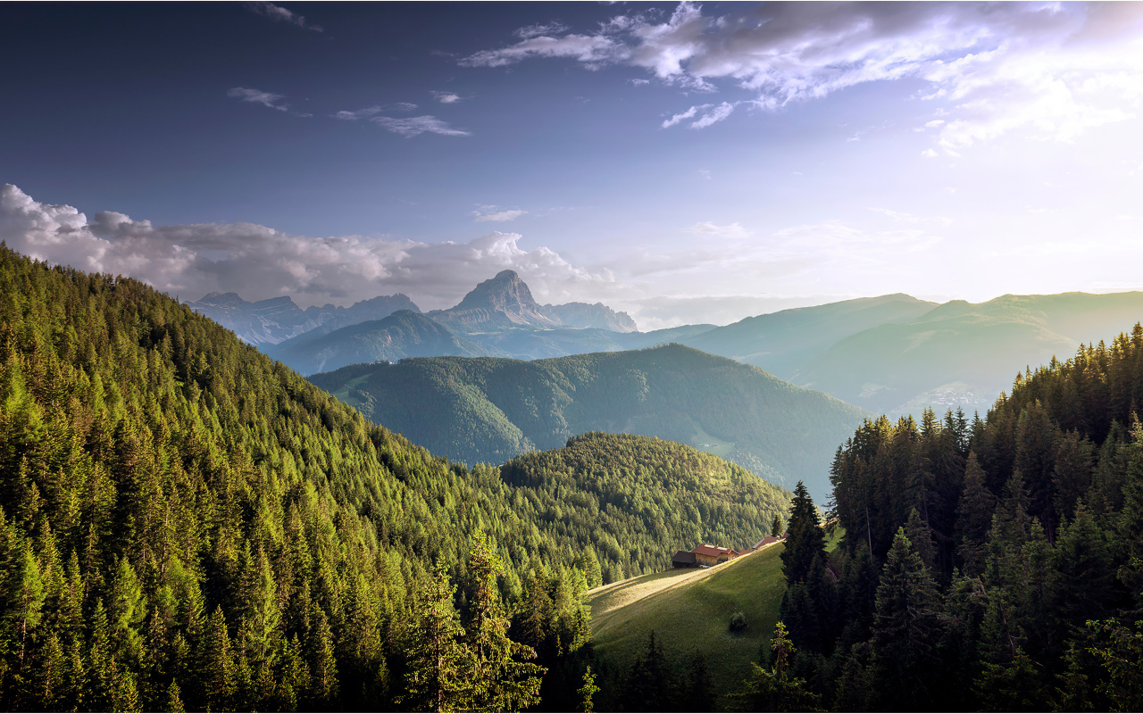 Большие покрытые густым лесом горы