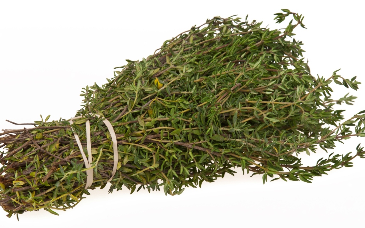 Пучок листьев розмарина на белом фоне