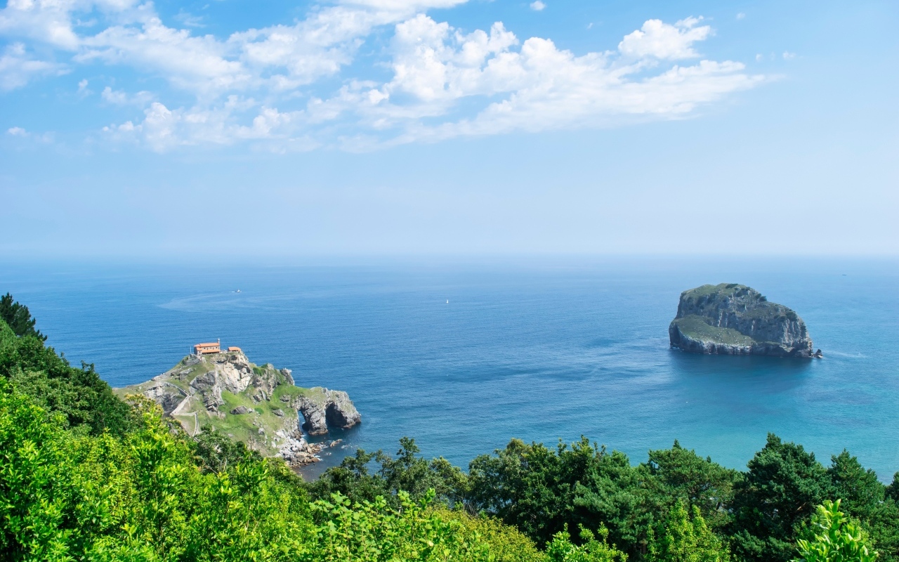 Красивый вид на море с покрытой деревьями горы