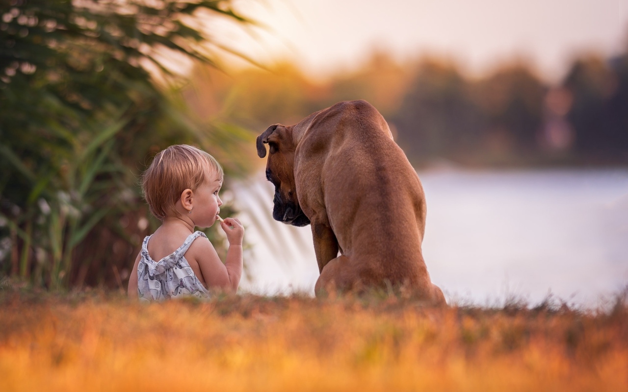 Девочка с собакой на берегу реки
