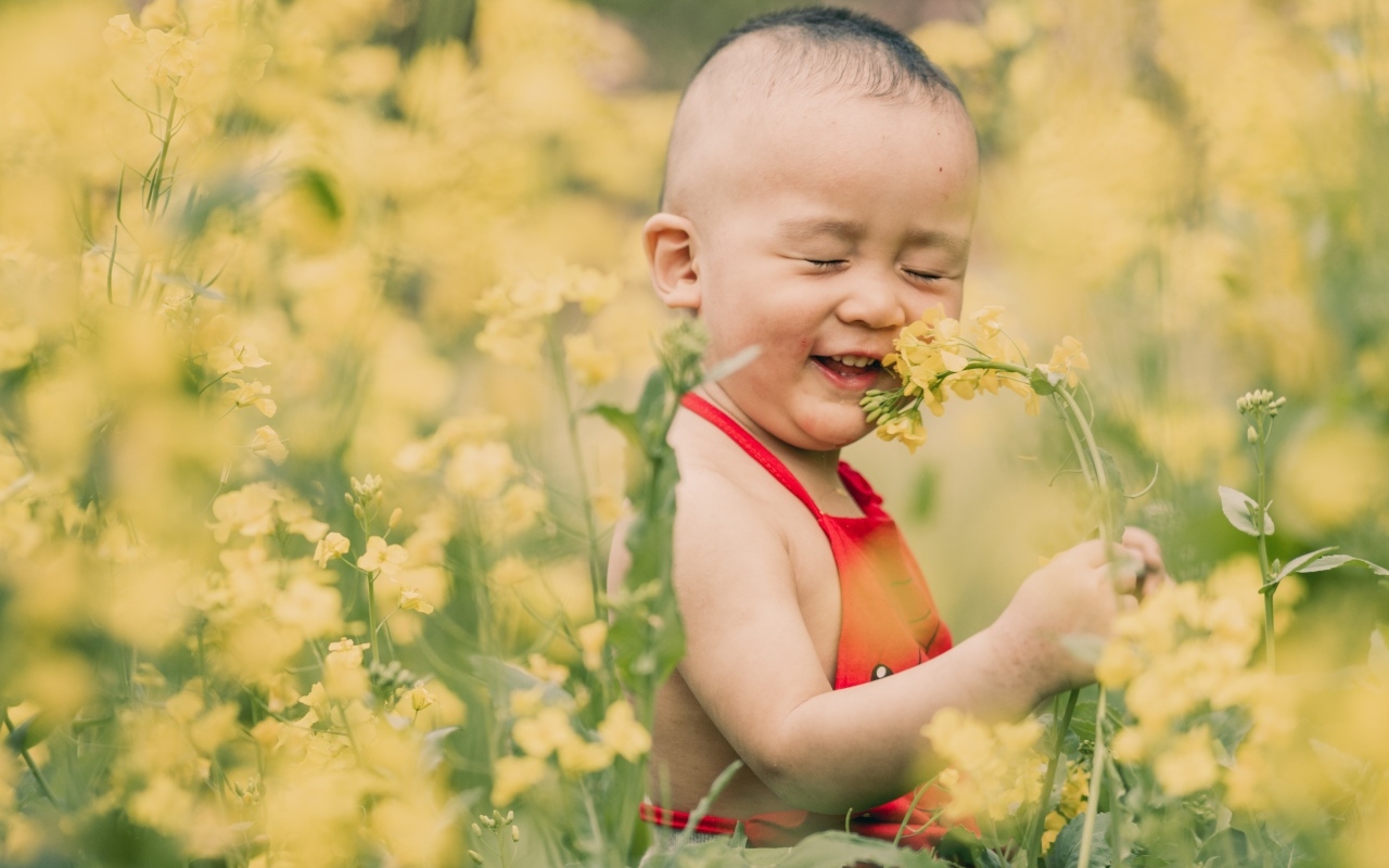 Маленький мальчик на поле с желтыми цветами