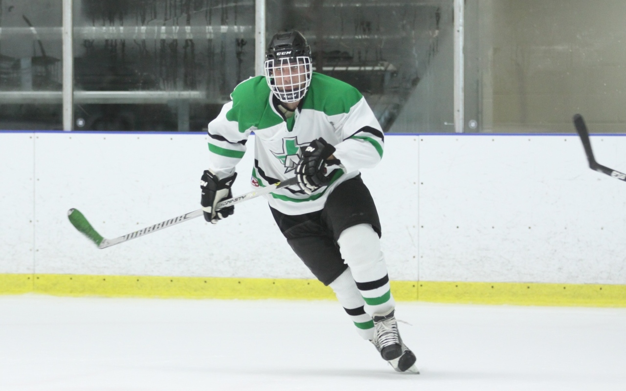 Хоккеист с клюшкой на поле