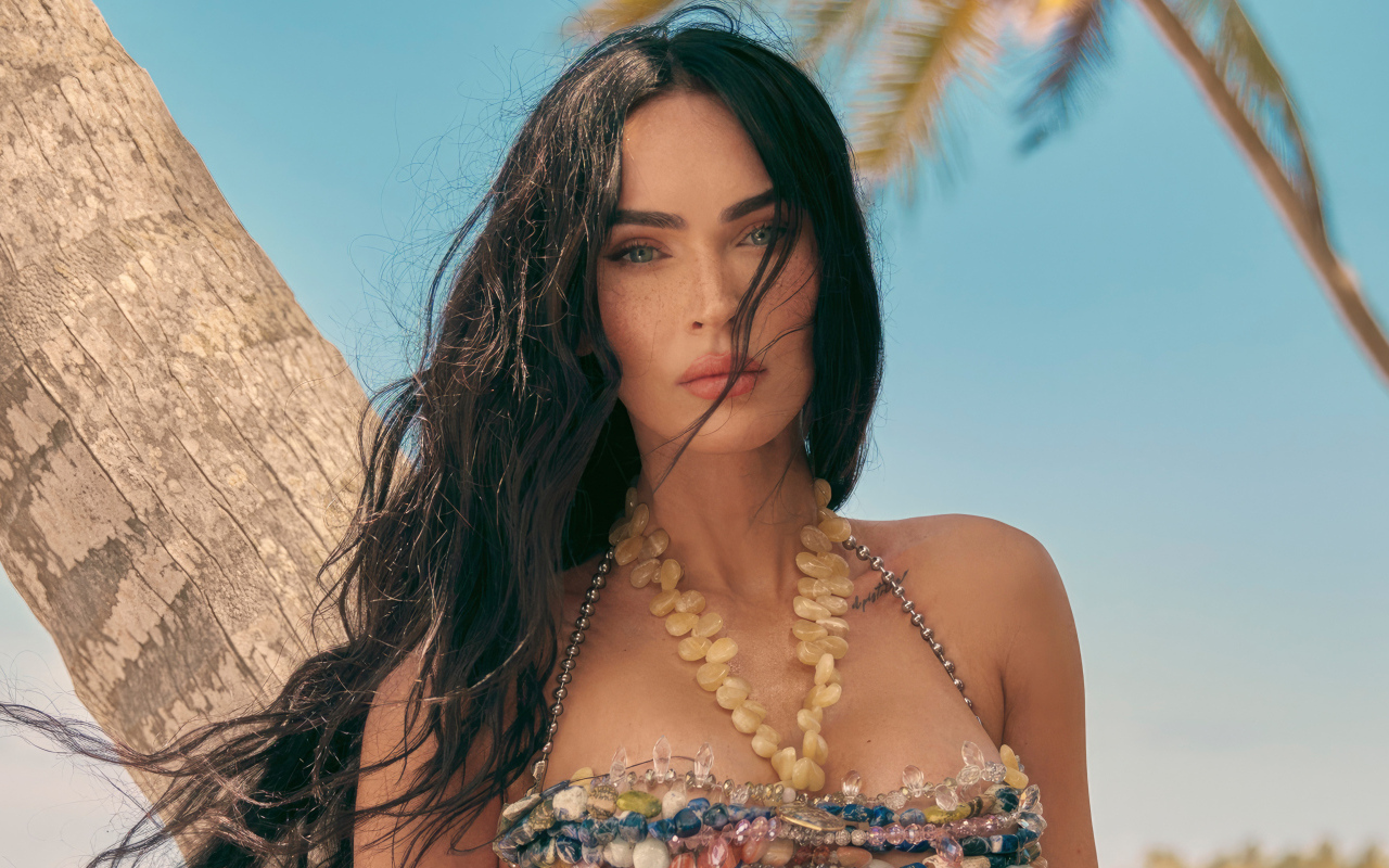 Длинноволосая брюнетка Меган Фокс на пляже