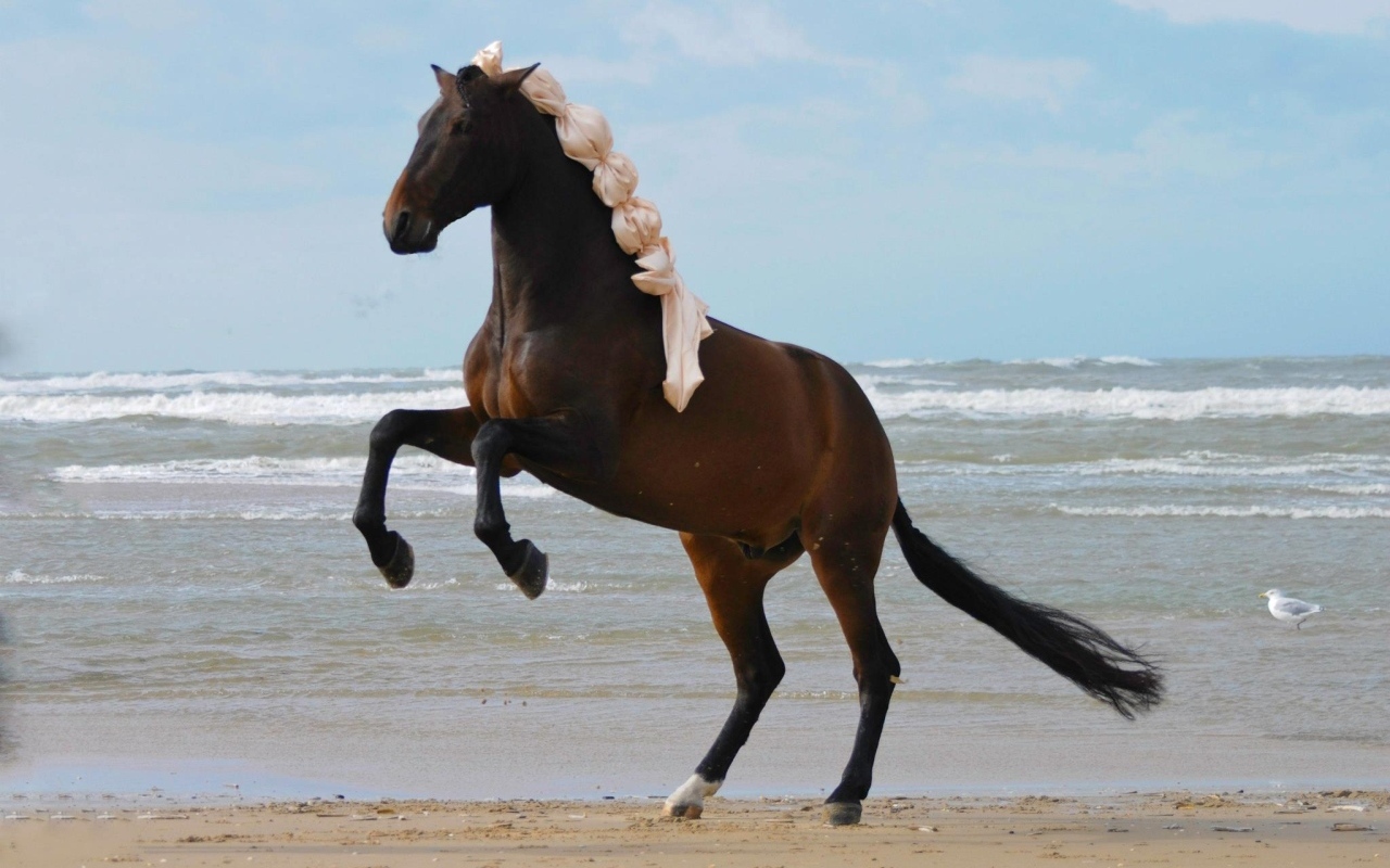 Большая коричневая лошадь на песке у моря
