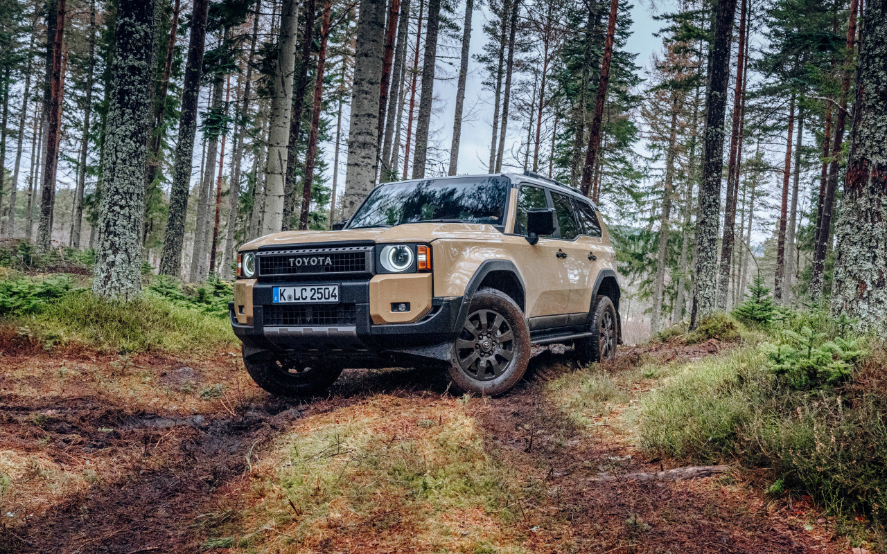 Внедорожник Toyota Land Cruiser First Edition в лесу