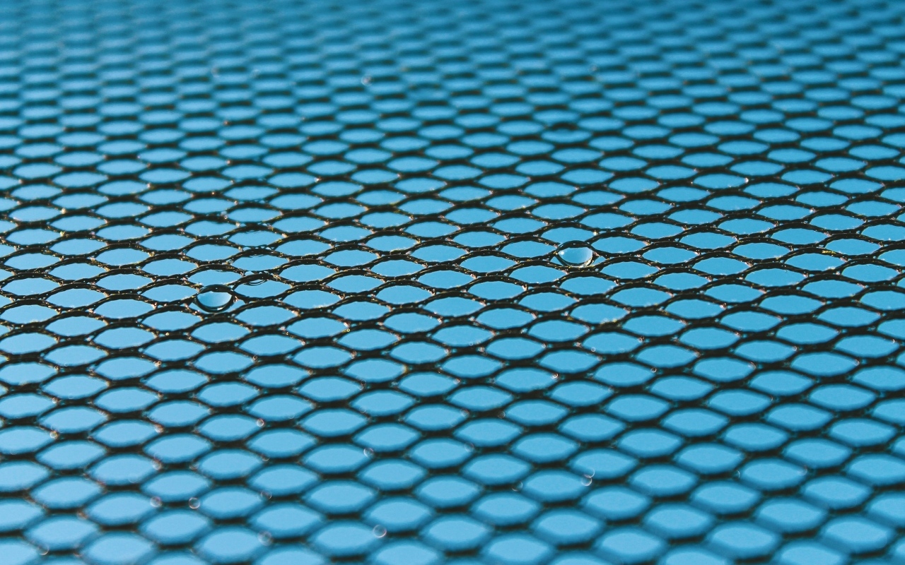 Черная сетка на голубом для фона