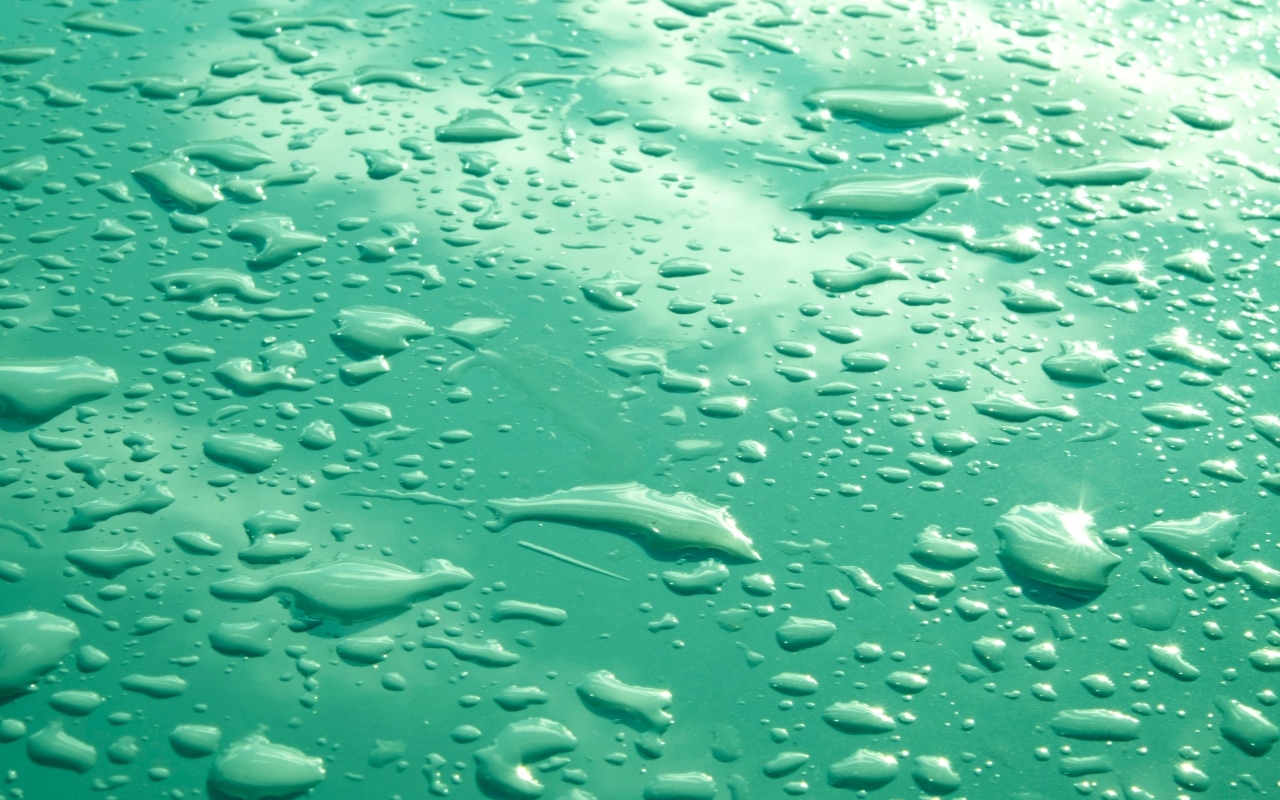 Капли воды на зеленом фоне
