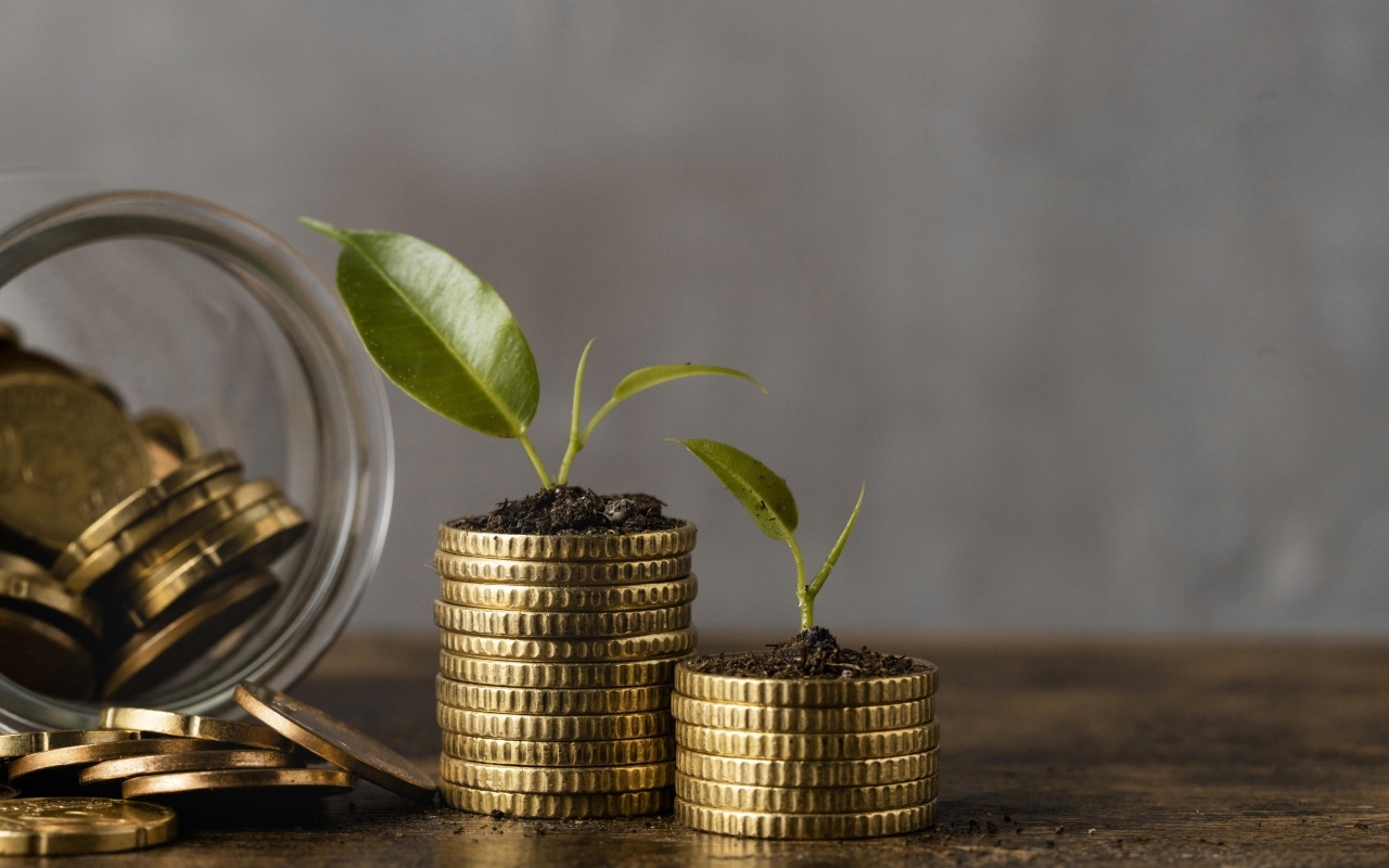 Зеленые ростки с золотыми монетами на столе