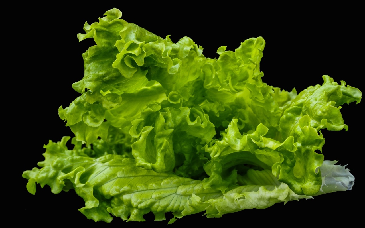 Зеленые листья салата на черном фоне крупным планом