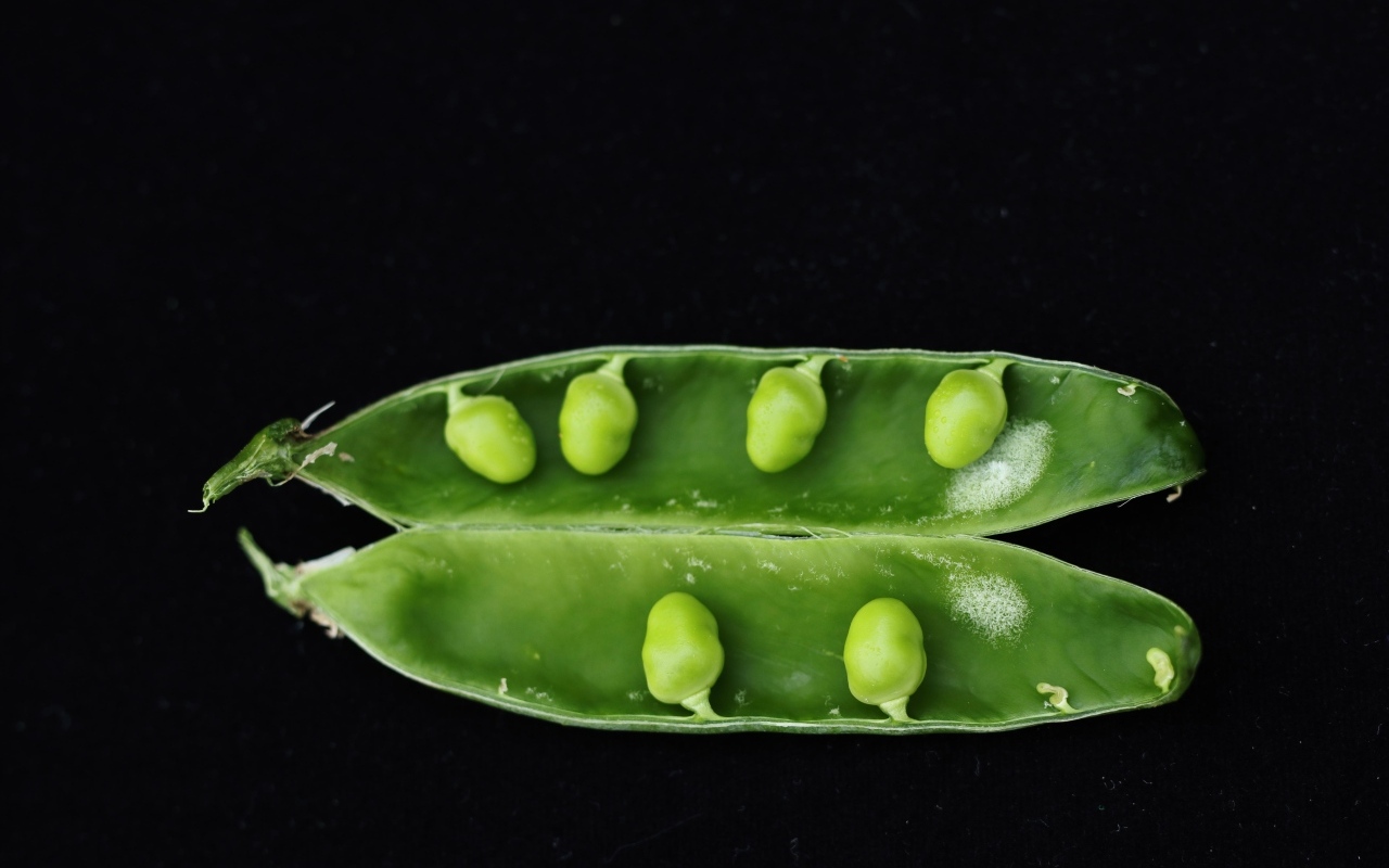 Зеленый горох на черном фоне