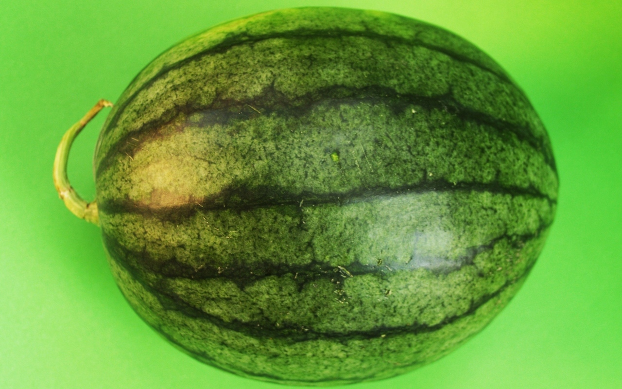 Большой полосатый арбуз на зеленом фоне
