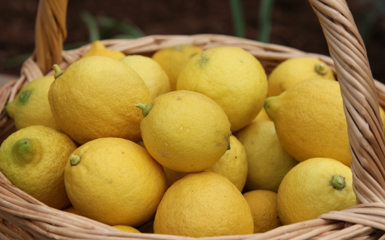 Много спелых желтых лимонов в корзине на столе
