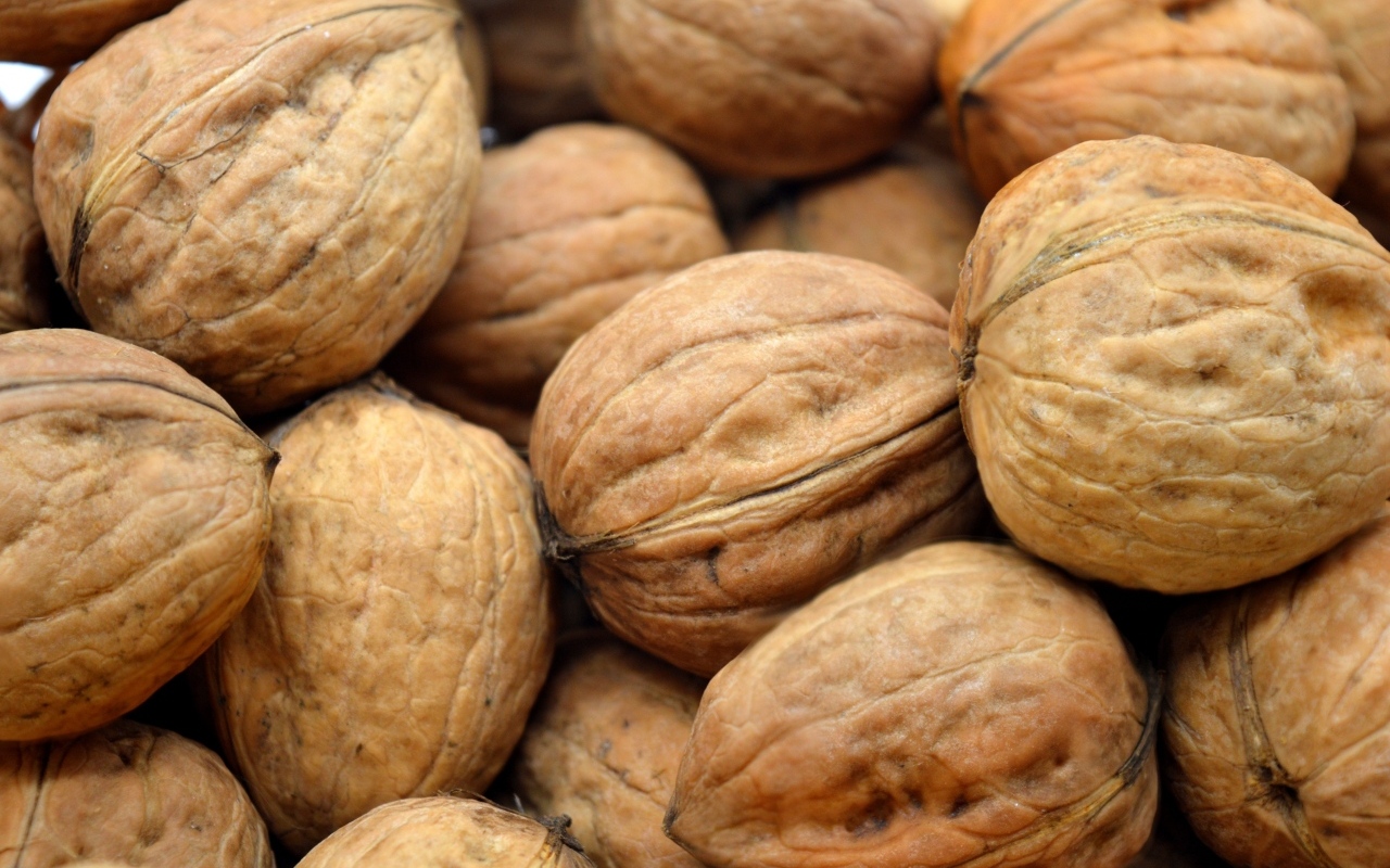 Много грецких орехов крупным планом