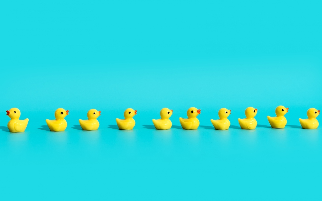 Маленькие игрушечные утята на голубом фоне