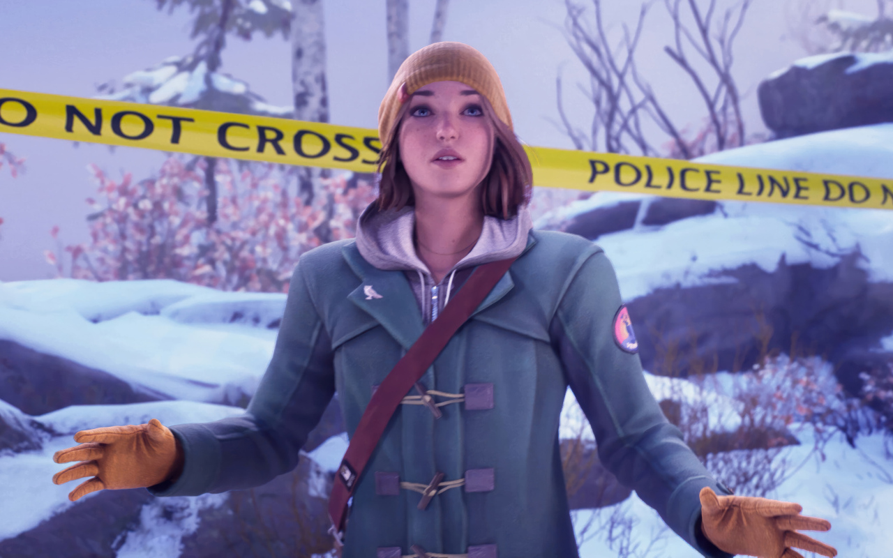 Компьютерная игра Life is Strange: Double Exposure, 2024