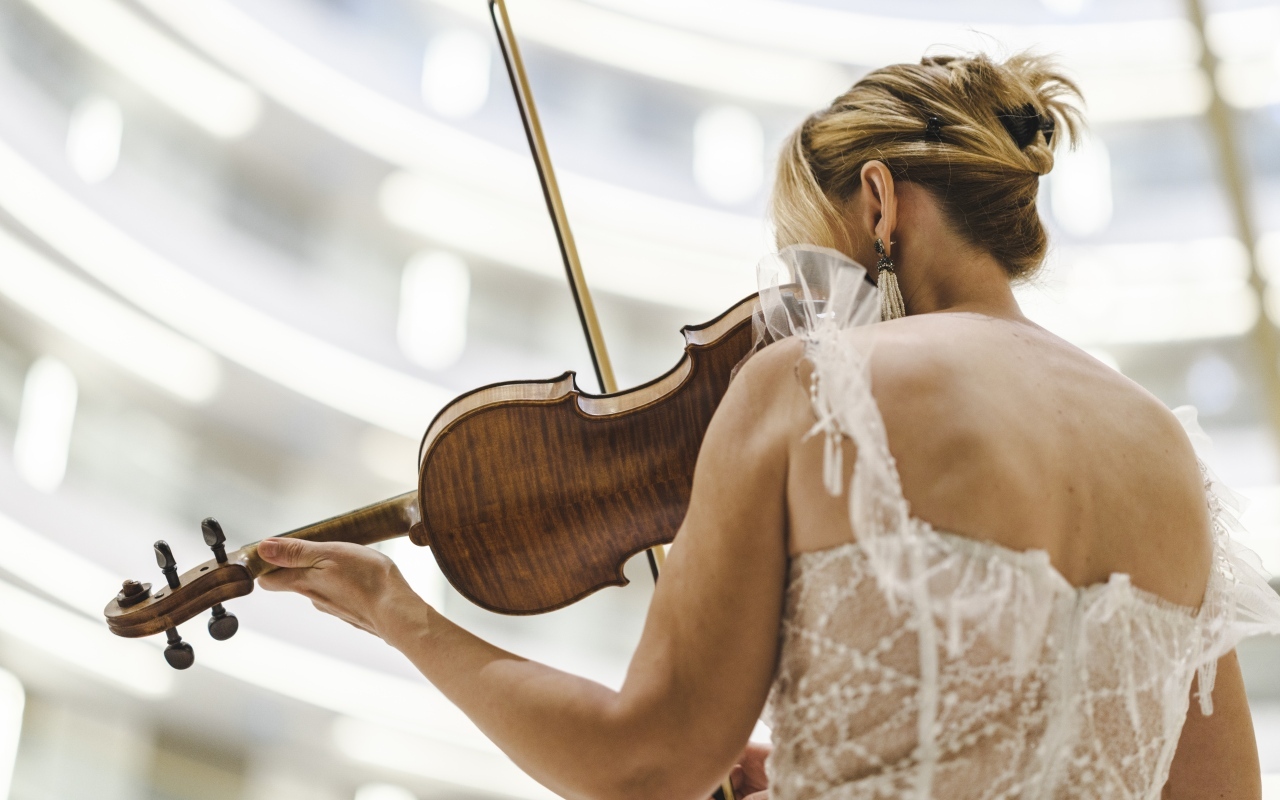 Девушка со скрипкой в руках вид со спины