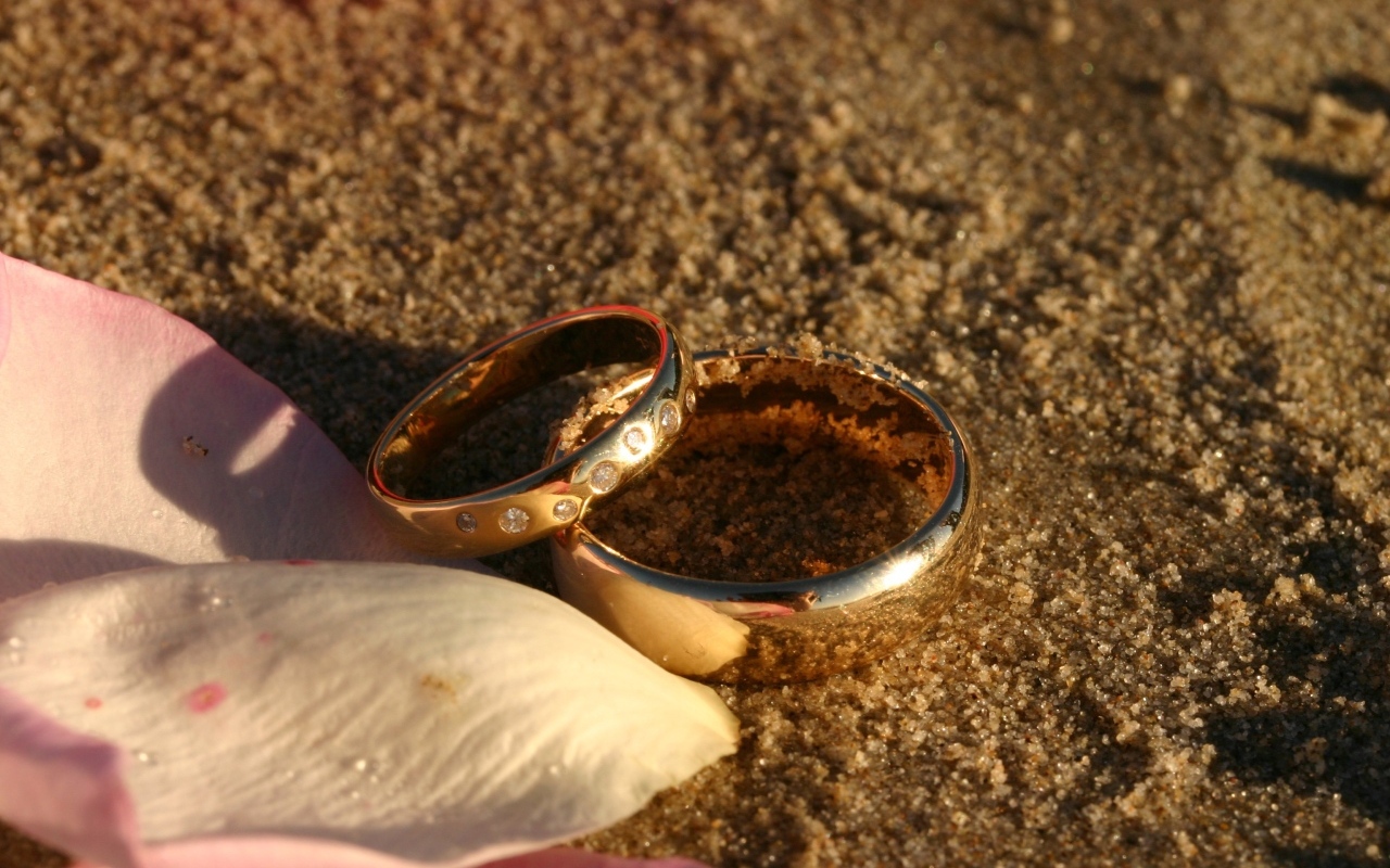 Два обручальных кольца с лепестками на мокром песке