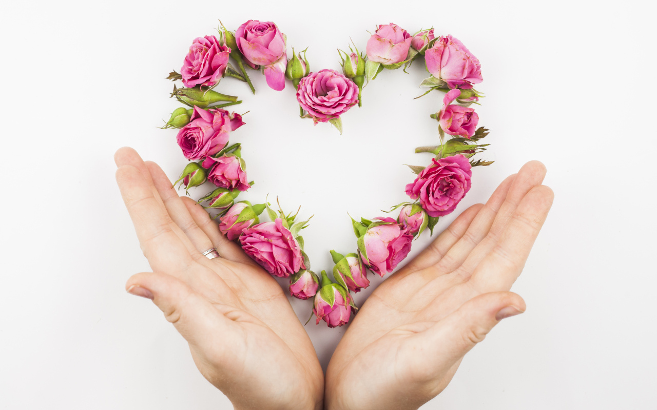 Ладони и сердце из цветов на белом фоне