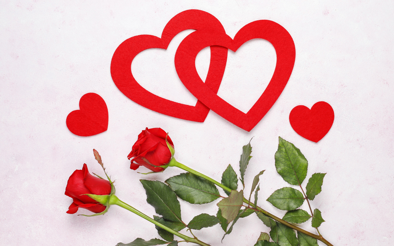 Бумажные сердечки с красными розами на белом фоне