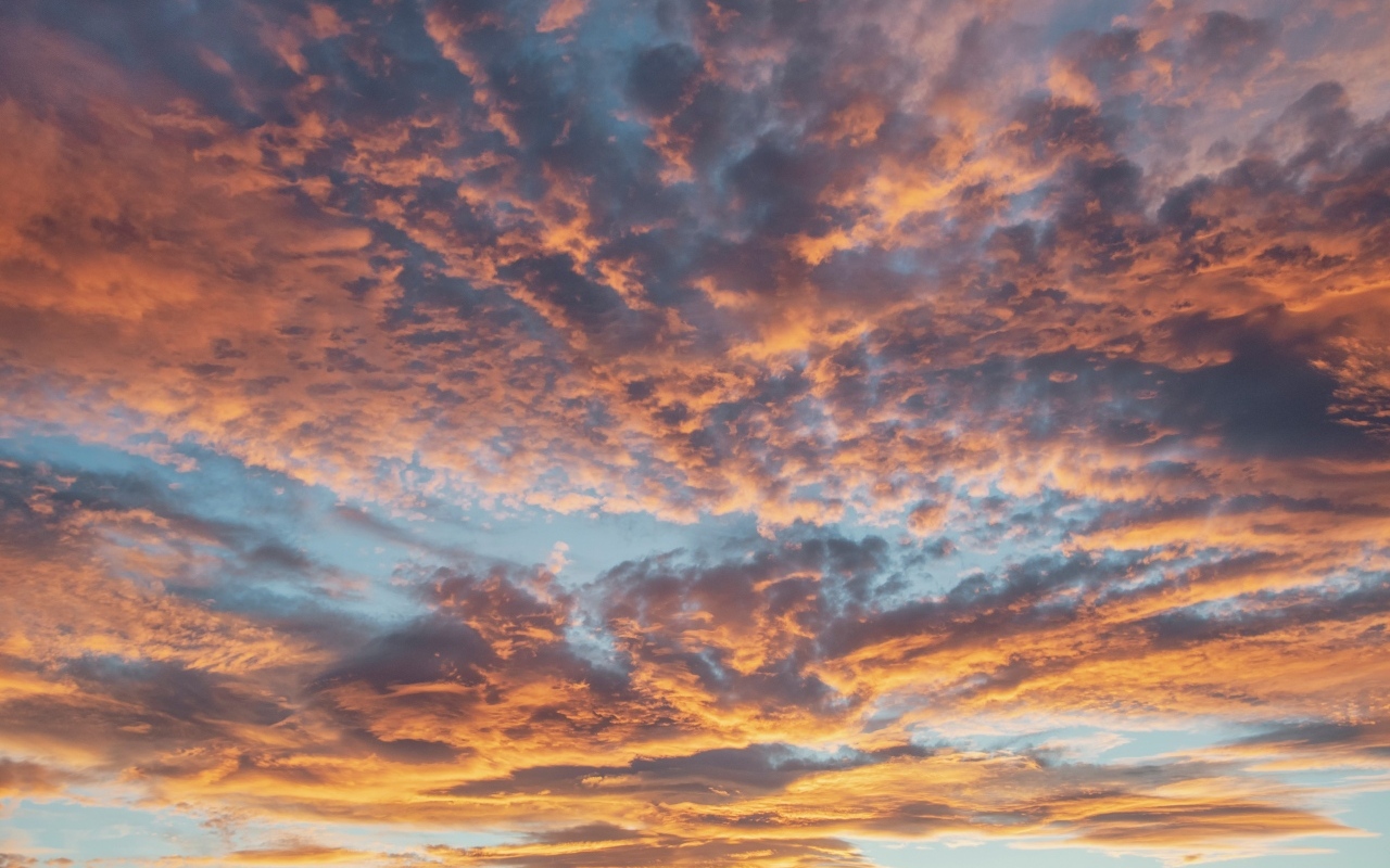 Густые темные облака в небе