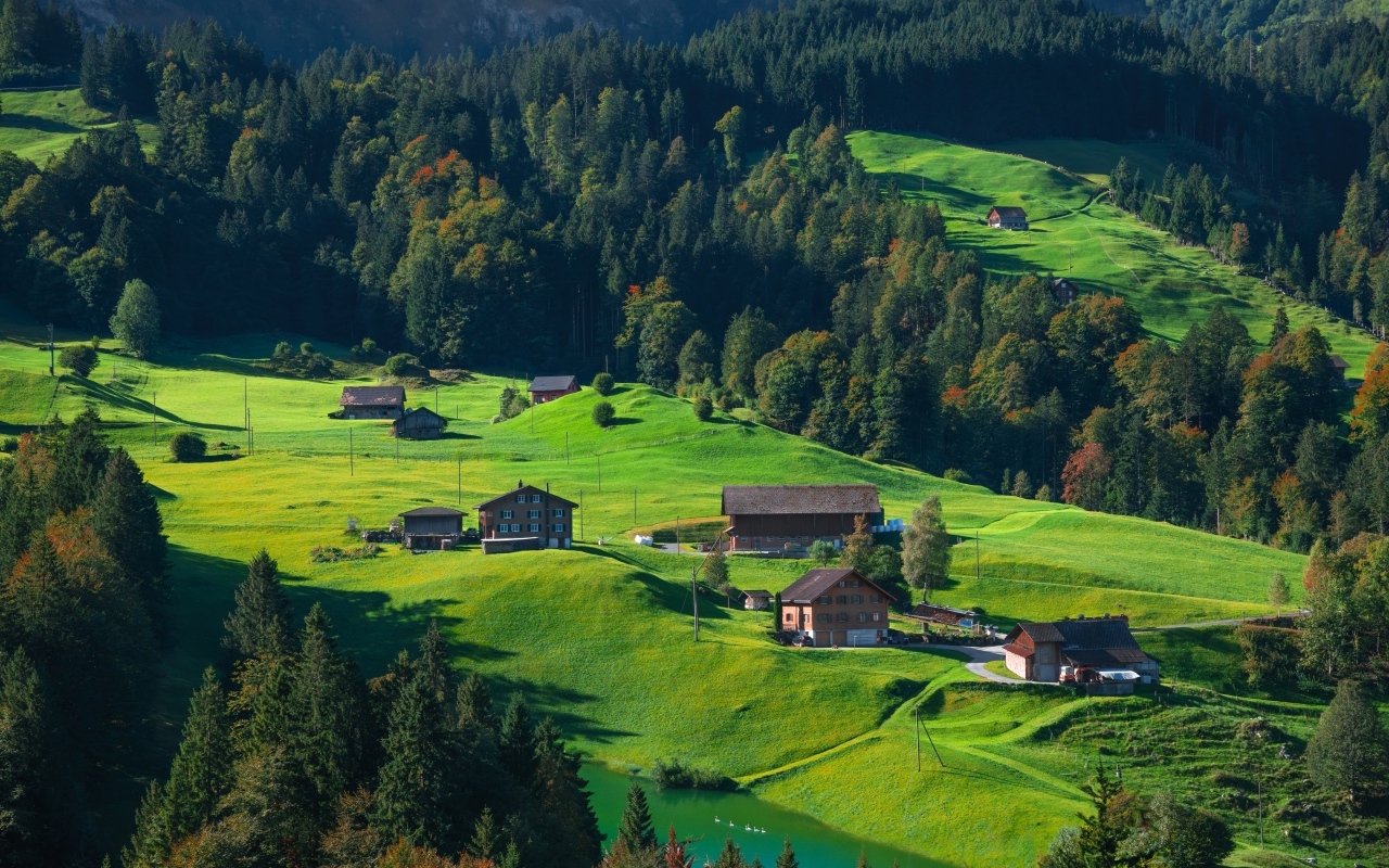 Зеленые холмы с домами в горах